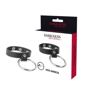 DARKNESS - METALOWY PIERSCIEN DO PENISA I JADRA